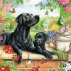 Black Labrador & Pup 1000 Piece Puzzle