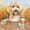 Cockapoo View 1000 Piece Jigsaw Puzzle