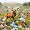 Red Stag,National Park 1000 Piece Puzzle